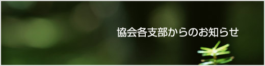 根室支部